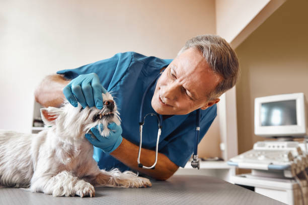 Best Emergency Dentist for Special Needs Patients in Oologah, OK